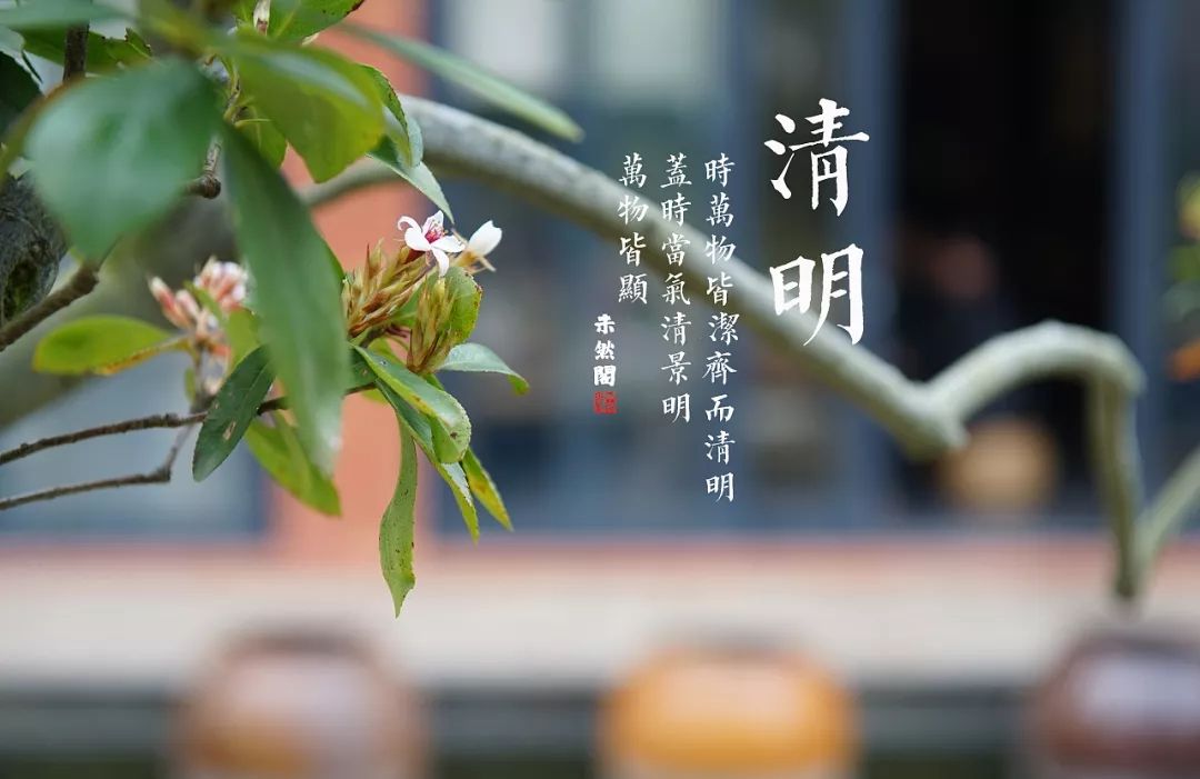 清明时节雨纷纷，祭祖的日子又悄然无息地到来了